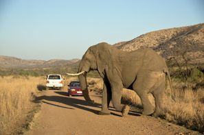 Prenájom auta Klerksdorp, Juhoafrická republika